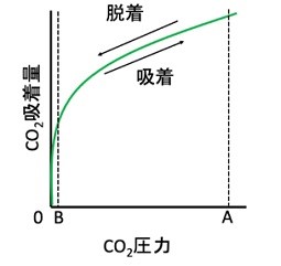 ゼオライトの吸着特性