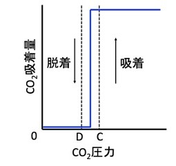 構造柔軟型PCPの吸着特性